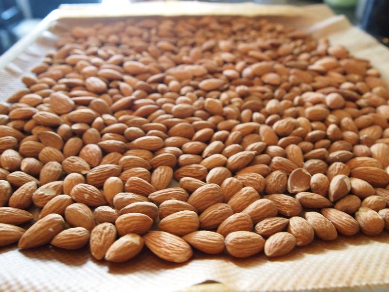 California Almond Nut for sell