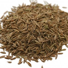 Herb & spices cumin seed fennel seed