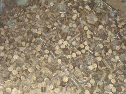Wood Sawdust Briquettes