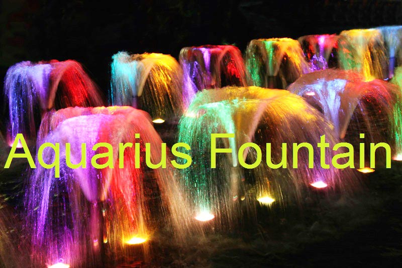 Flower Fountain