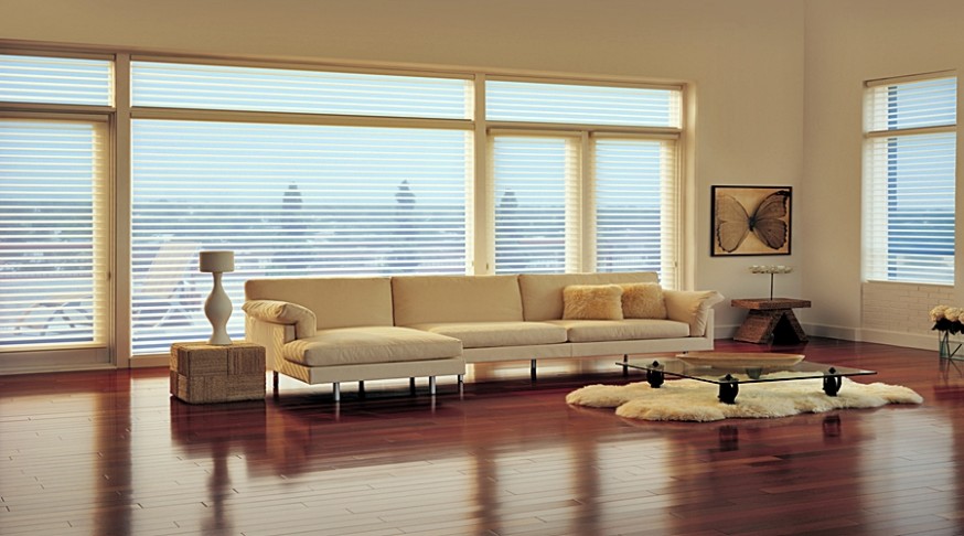 Horizontal Blinds