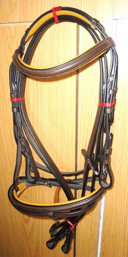 Leather Padded Bridle