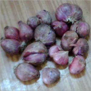 Hybrid Onion