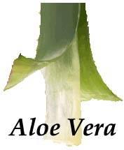 Aloevera Products