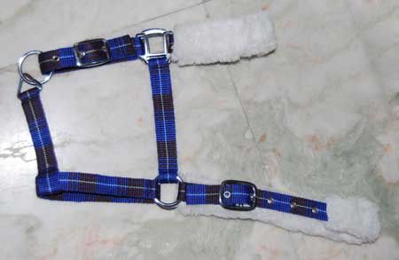 Horse Halters