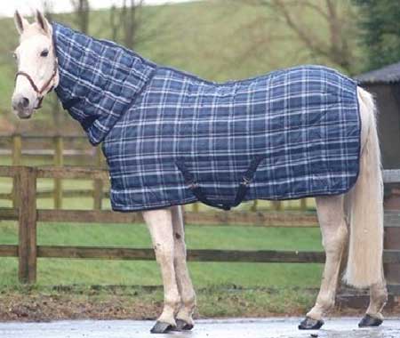 Stable Rug