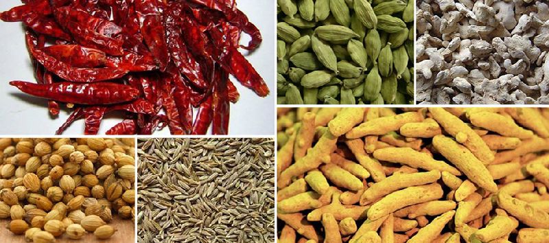Indian organic spices