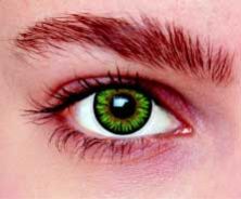 Green Contact Lens