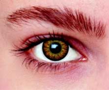 Hazel Contact Lens