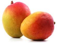 Fresh Mangoes