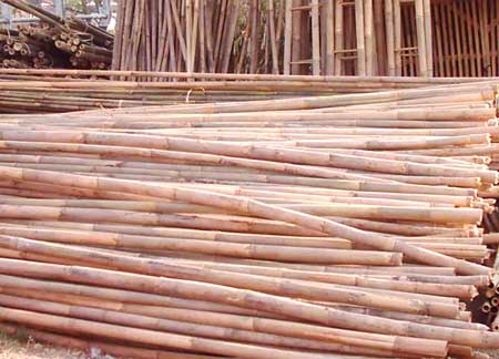 Bamboo Broomsticks