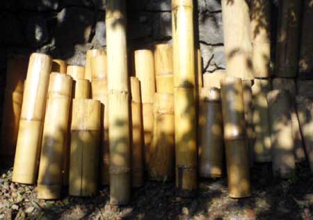 Bamboo Broomsticks