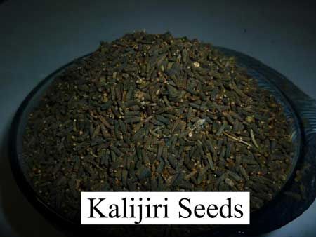 Black Cumin Seeds