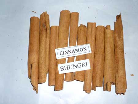 cinnamon stick