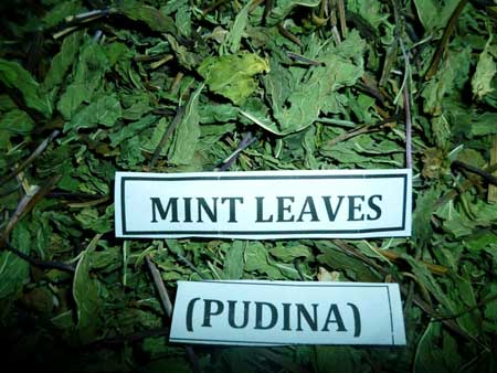 Dried Mint Leaves