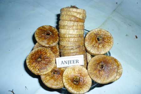 Dry Anjeer