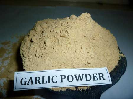 Garlic powder