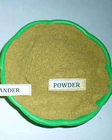 Green Coriander Powder