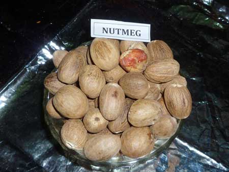 Nutmeg Seeds