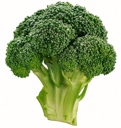 Fresh broccoli, Packaging Type : Paper Box