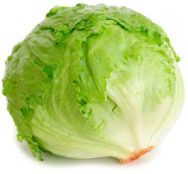 Fresh Iceberg Lettuce