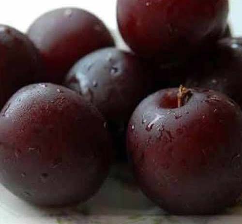 Fresh Plums