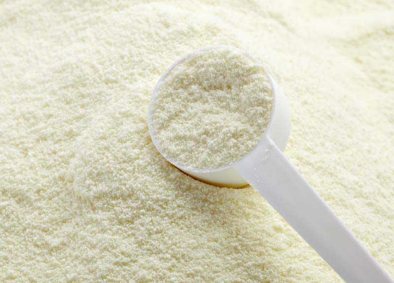milk powder