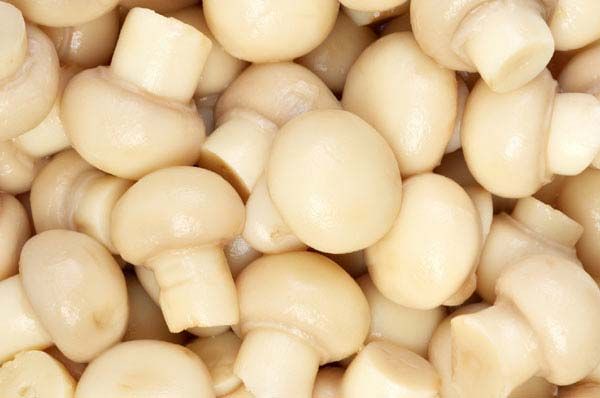 Pasteurized Mushroom