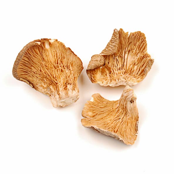 Dried Oyster Mushrooms