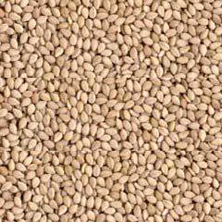 white sesame seeds