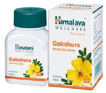 Himalaya Gokshura Tablets