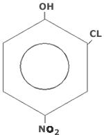 2-Chloro 4-Nitro Phenol