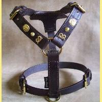 Leather Harness