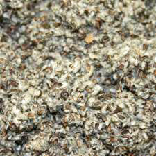 Cottonseed Hulls