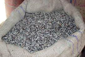  Delinted Black Cottonseed, for Cattle Feed