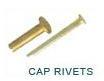 Cap Rivets