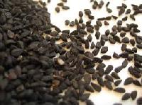 seed spices