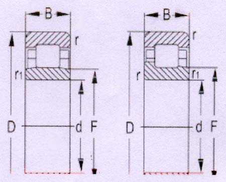 Single Row Cylindrical Roller Bearing - 02