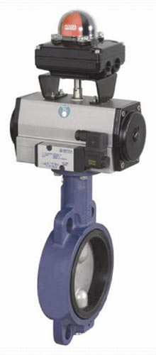 AWRS Rotary Actuator Butterfly Valve