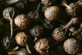 Cubeb Oil