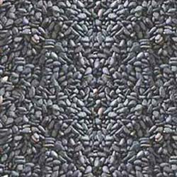 Common Black Sesame Seeds, for Making Oil, Style : Natural