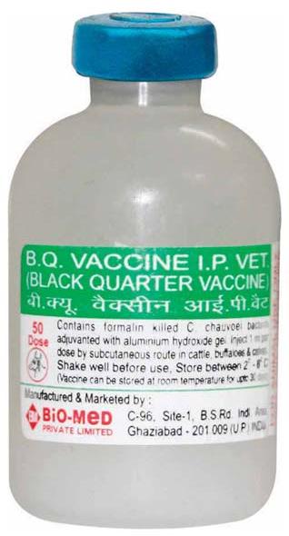 BLACK QUARTER VACCINE, INACTIVATED I.P.