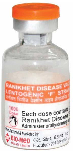 RANIKHET DISEASE VACCINE, LIVE, LENTOGENIC 'F' STRAIN, I.P.