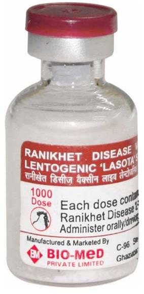 Ranikhet disease lentogenic lasota strain vaccine