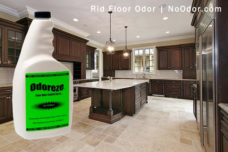 ODOREZE Natural Floor Odor Eliminator Natural Spray: Makes 64 Gallons