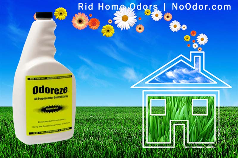 ODOREZE Natural House Odor Eliminator Spray: Makes 64 Gallons To Clean