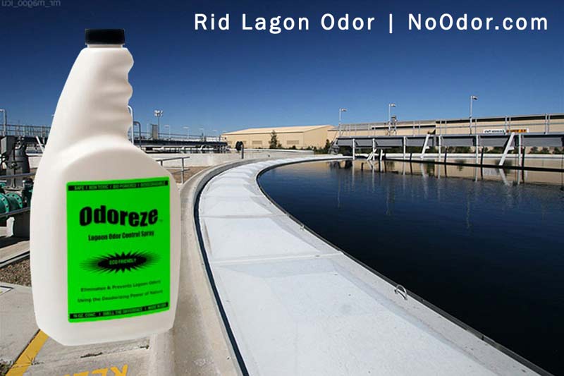 ODOREZE Natural Lagoon Odor Control Eco Spray: Treats 2,000 Sq. Ft.