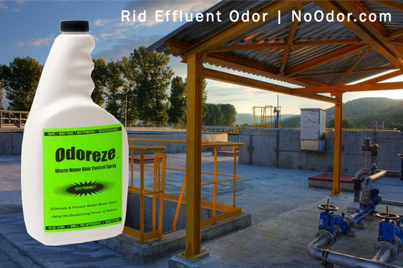 ODOREZE Natural Waste Water Odor Eliminator Spray: Concentrate Makes