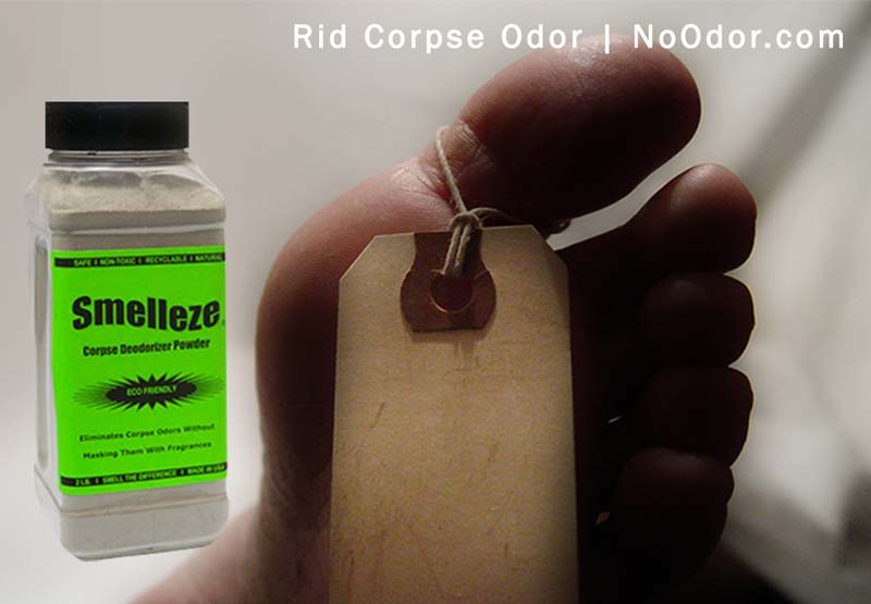Smelleze Eco Corpse Odor Eliminator Deodorizer: 50 Lb