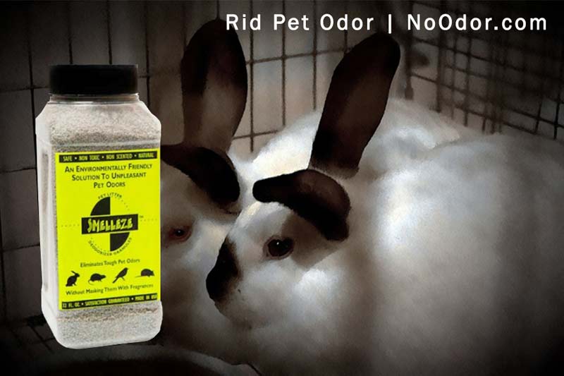 SMELLEZE Natural Rabbit Smell Removal Deodorizer: 50 lb. Granules